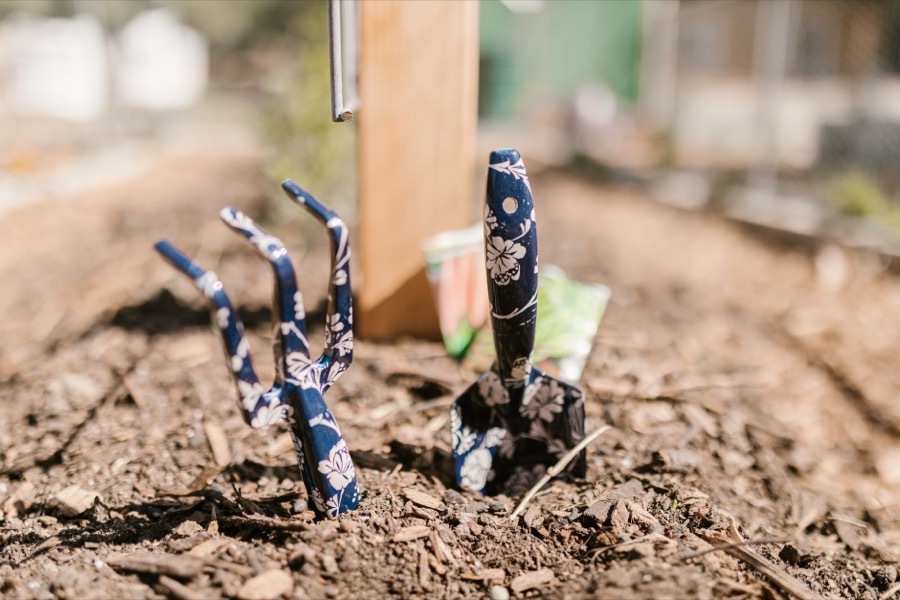 A gardener using a garden fork to turn and aerate dark brown mulch in a garden bed.