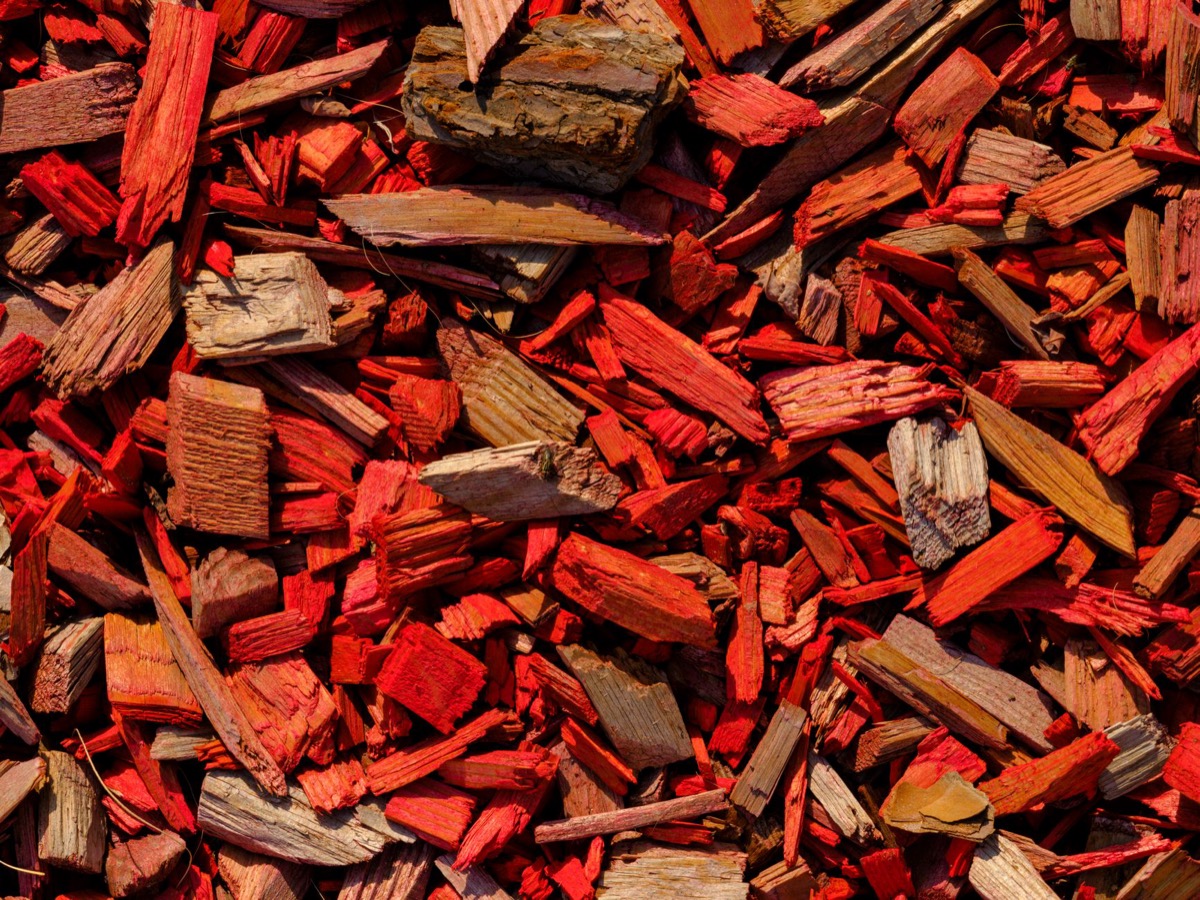 Close-up of freshly spread dark brown wood chip mulch, showing varied textures and slight moisture.