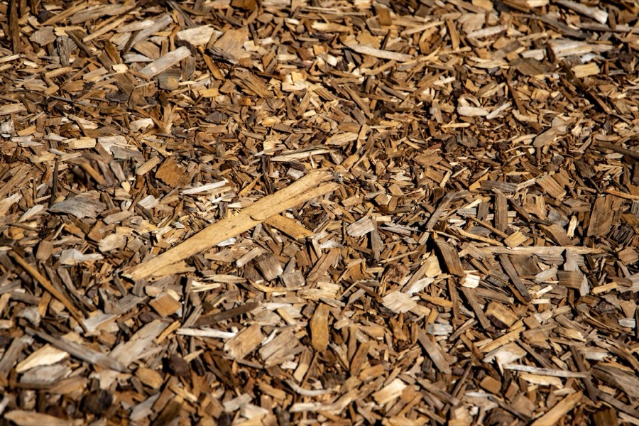Detailed shot of reddish-brown pine bark mulch pieces covering a garden bed.
